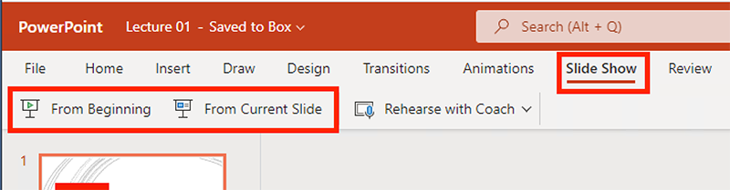 PowerPoint slide show options