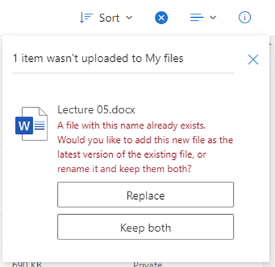 Replace or keep both files
